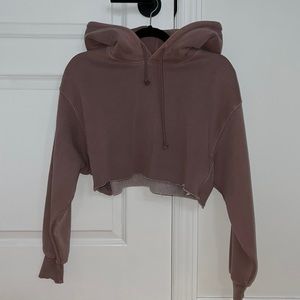 Aritzia TNA boyfriend cropped hoodie